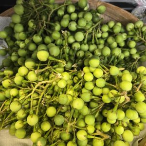 pea eggplant